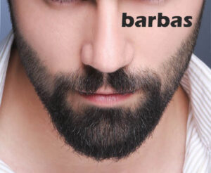los tipos de barbas que existen